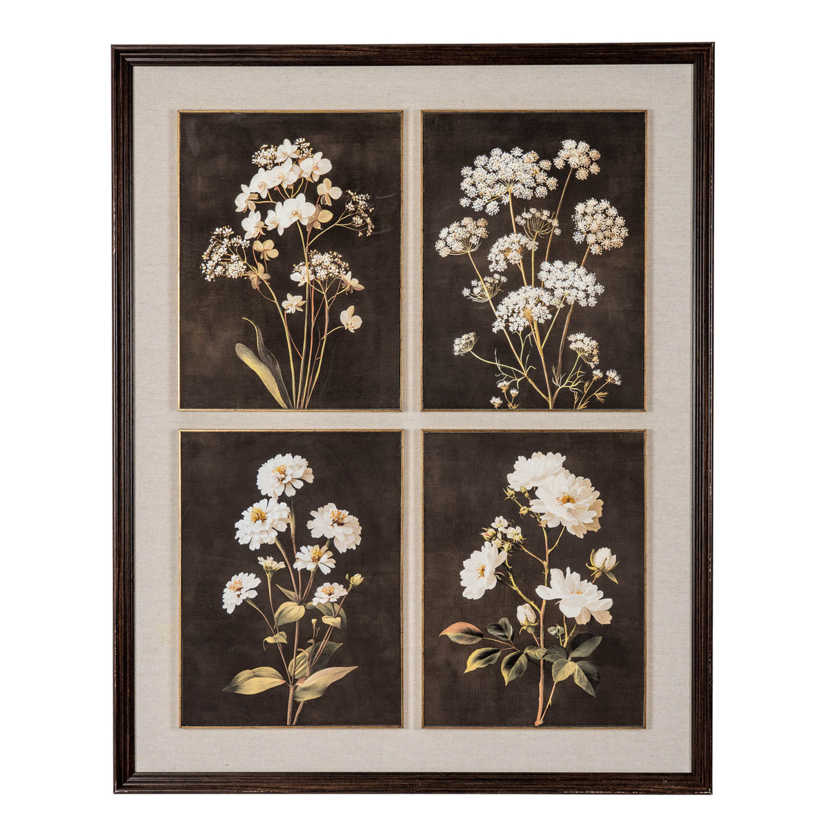 Four botanicals in classic frame