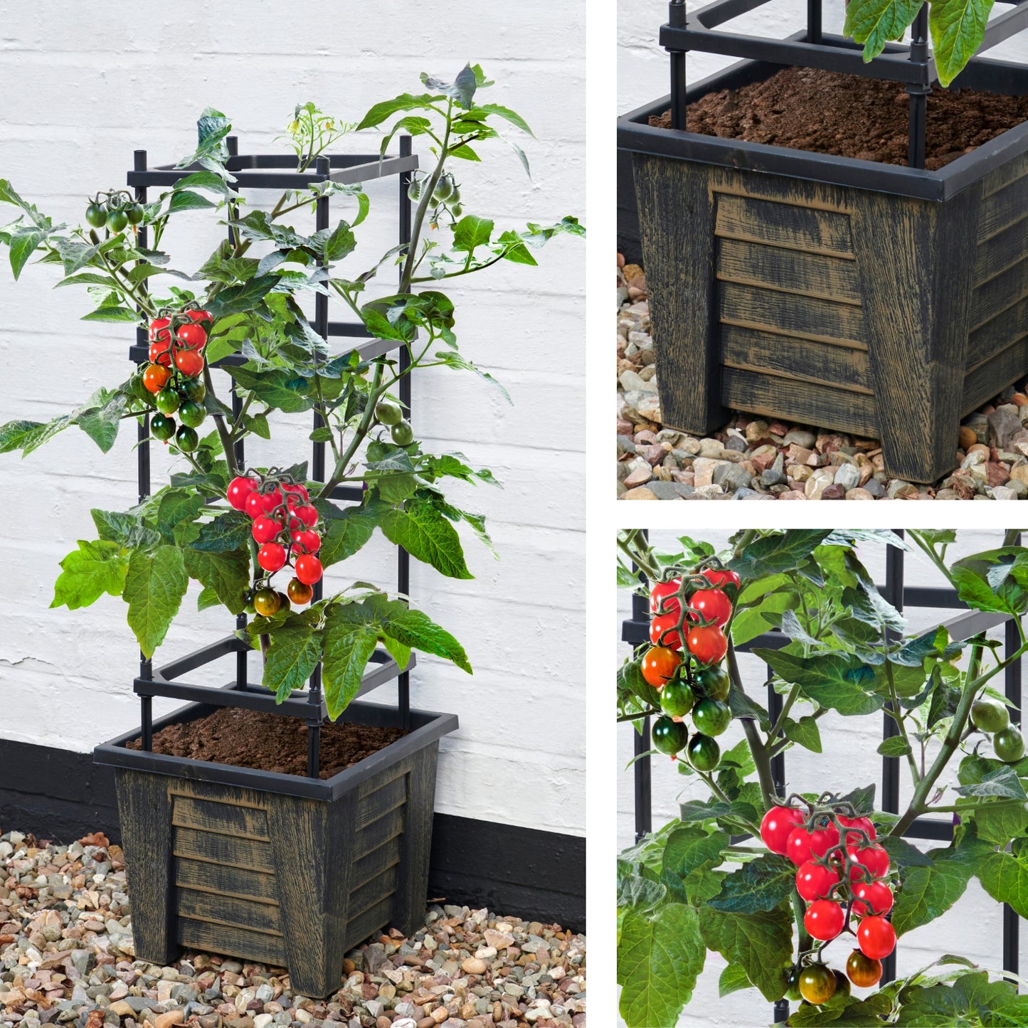 4 Tier Tomato Planter & Trellis