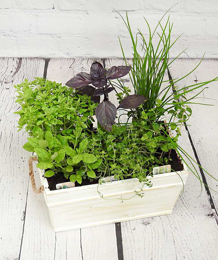 Wooden Herb Planter