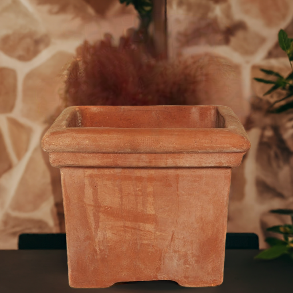 Terracotta Baytree Square Pot