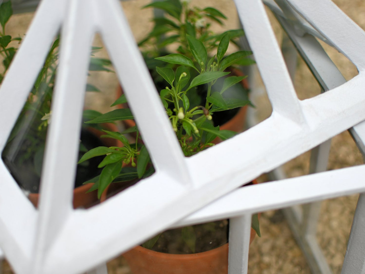 Cast Iron Garden Cloches 13''