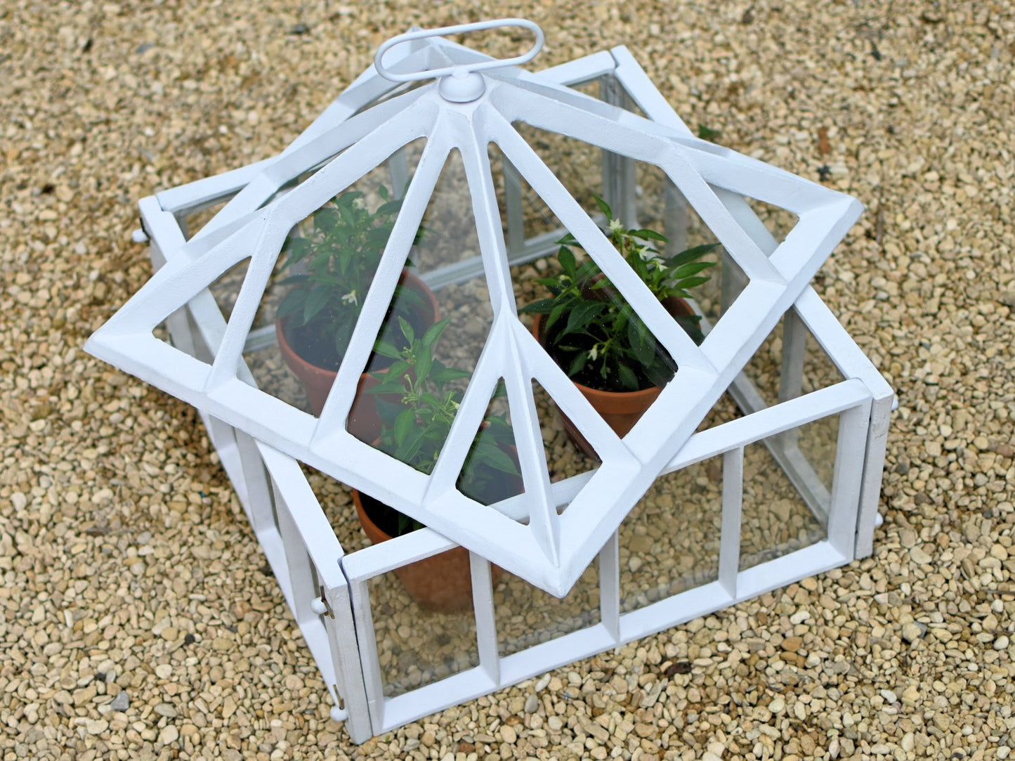 Cast Iron Garden Cloche 18''