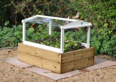 Herb & Salad Cloche Planter