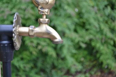Wren Ornamental Brass Garden Tap - Garden Shop Online UK Online Garden Centre
- 3