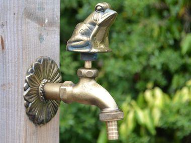 Frog Ornamental Brass Garden Tap - Garden Shop Online UK Online Garden Centre
- 1