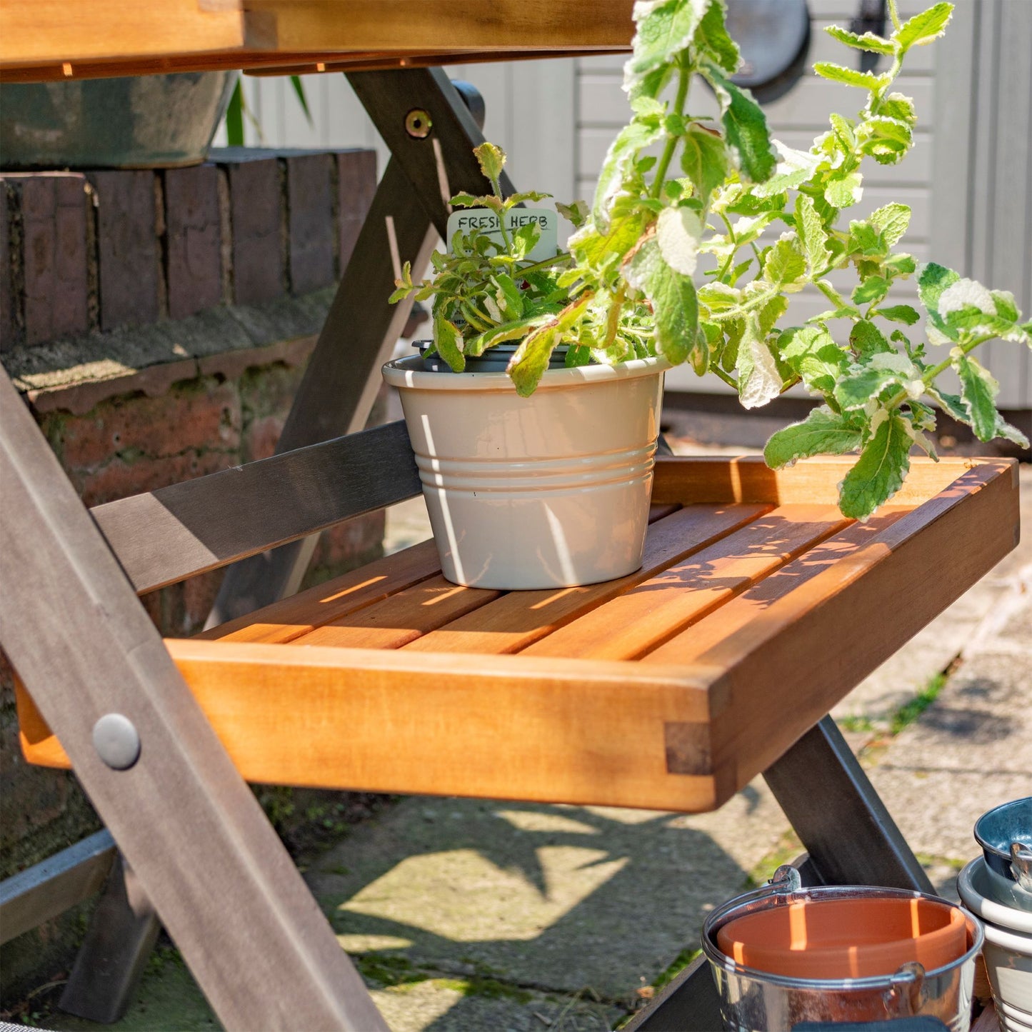 Rowlinson Alderley Plant Ladder - Small
