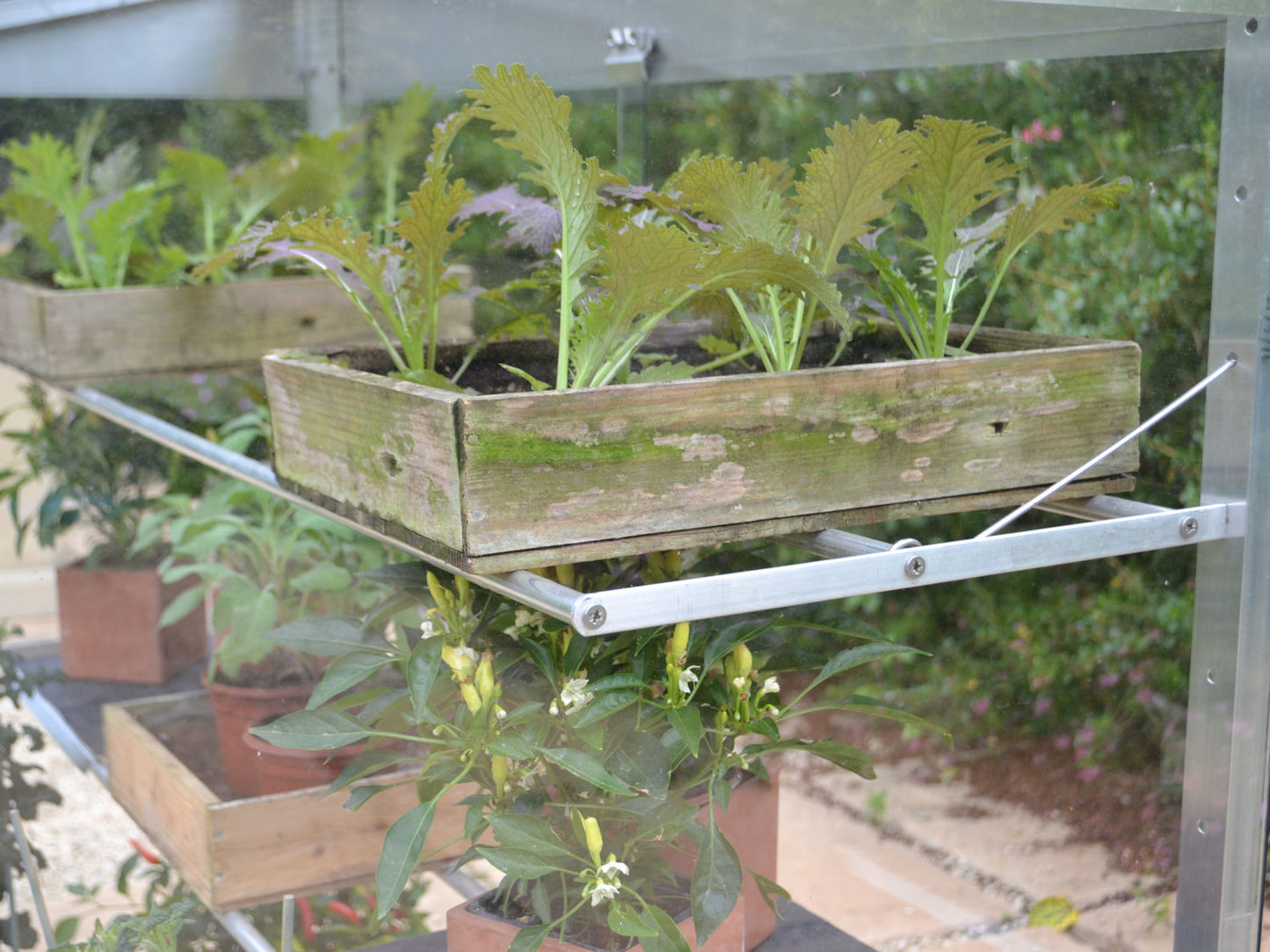 4' Midi Growhouse