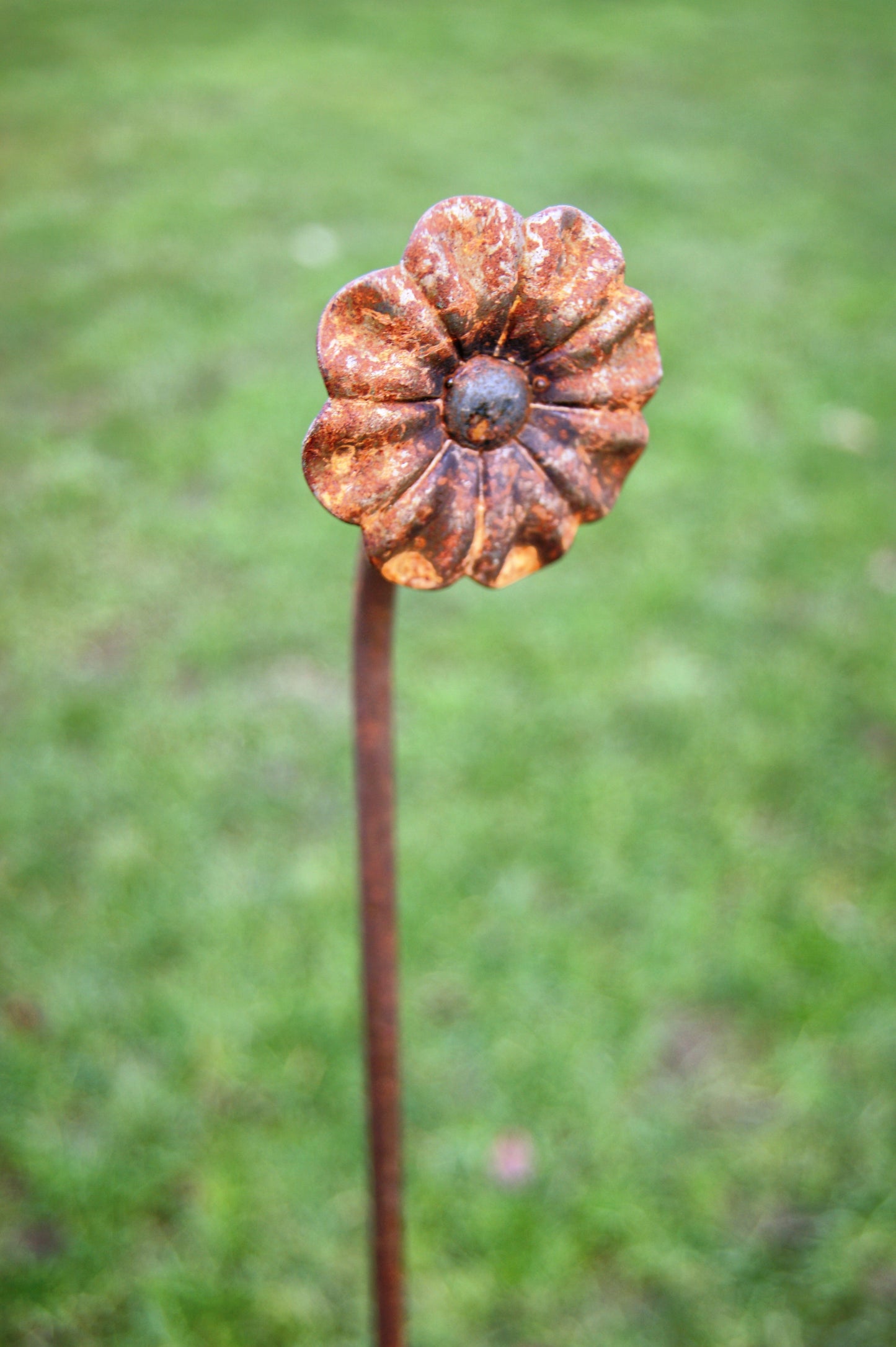 Flower Pin Plant Support 5ft