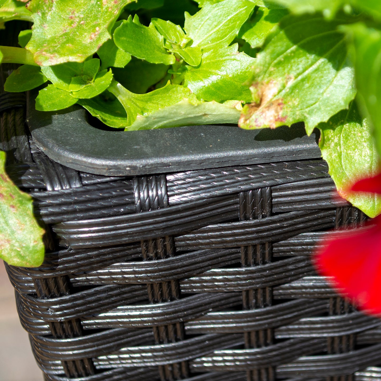 Square Black Rattan Planter - Pack of 2