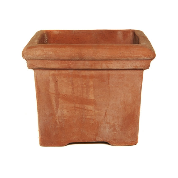 Terracotta Baytree Square Pot