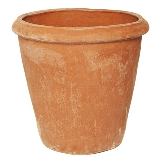 Terracotta Camelia Flower Pot