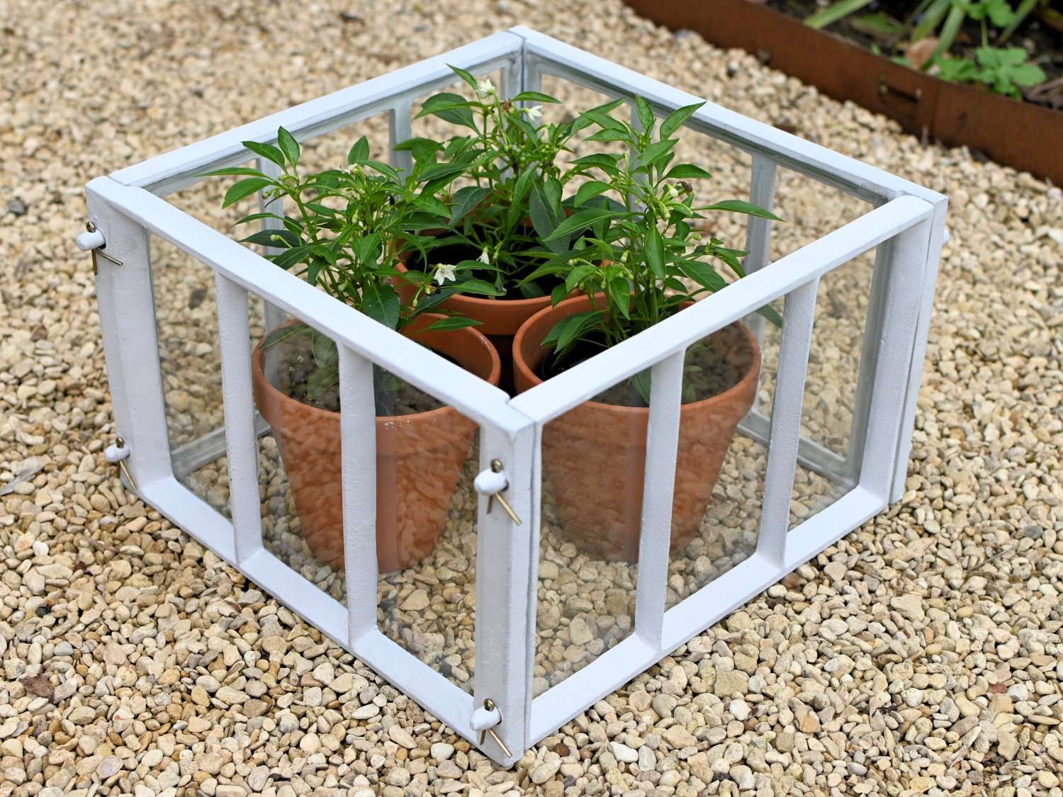 Cast Iron Garden Cloches 13'' - Garden Shop Online