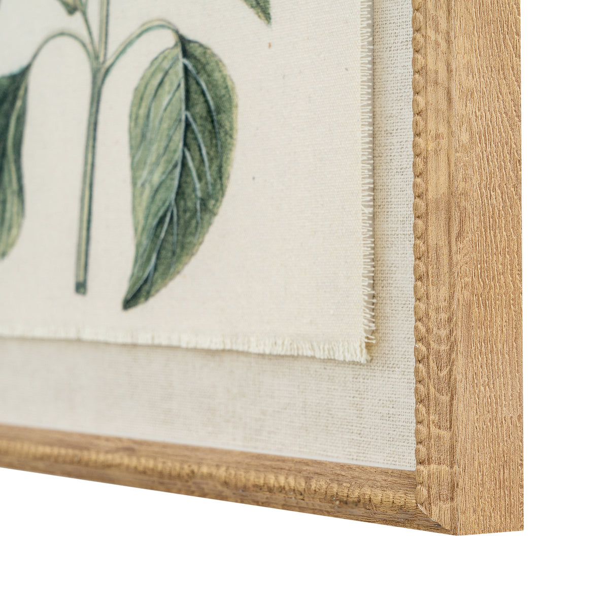 Salvia on linen in beaded frame