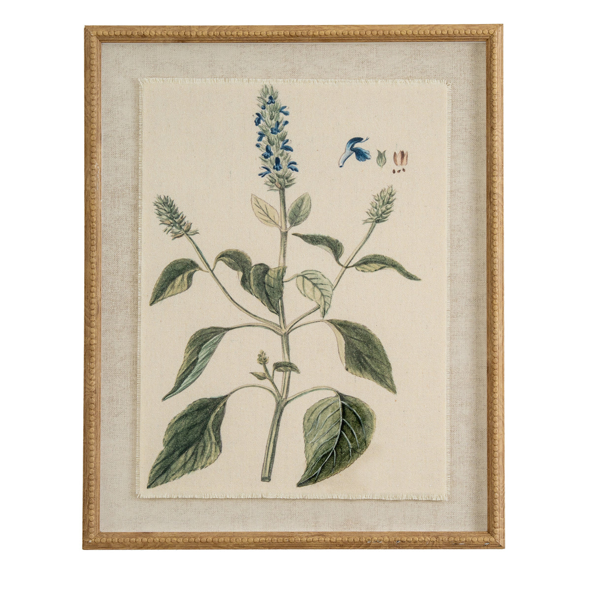 Salvia on linen in beaded frame