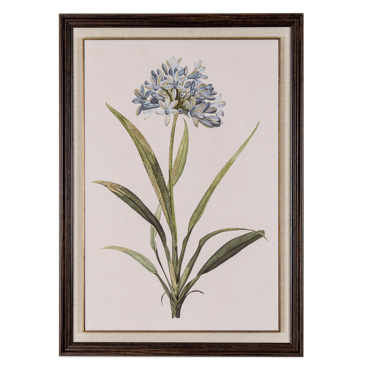 Blue wildflower botanical in frame
