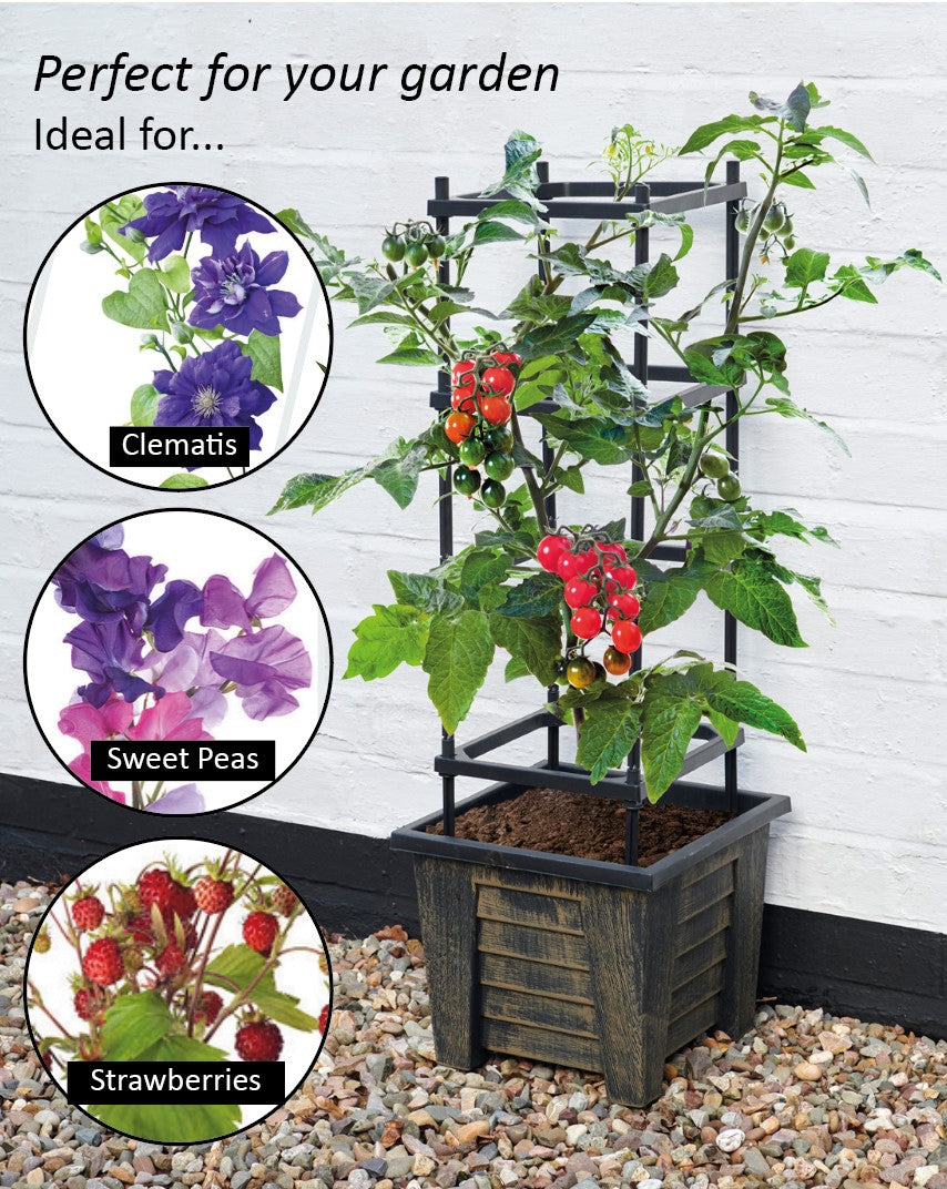 4 Tier Tomato Planter & Trellis