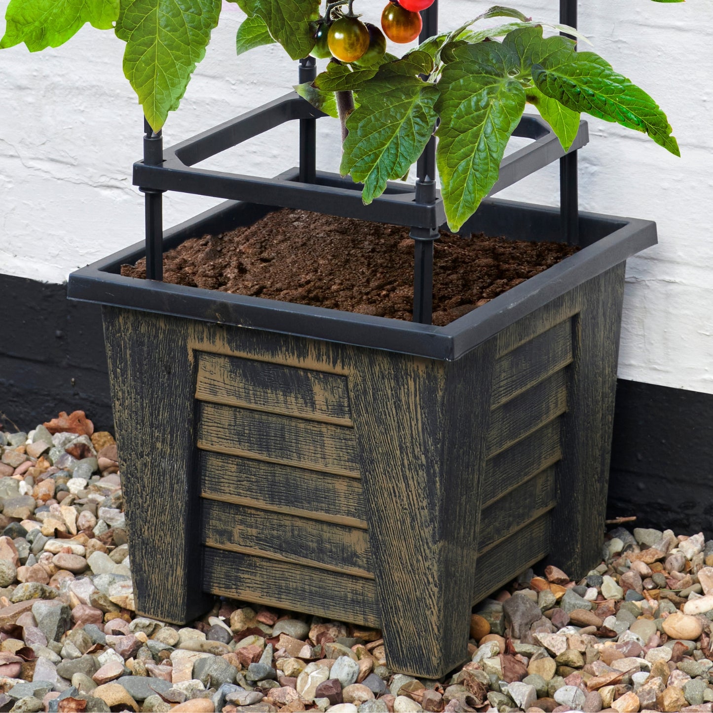 4 Tier Tomato Planter & Trellis