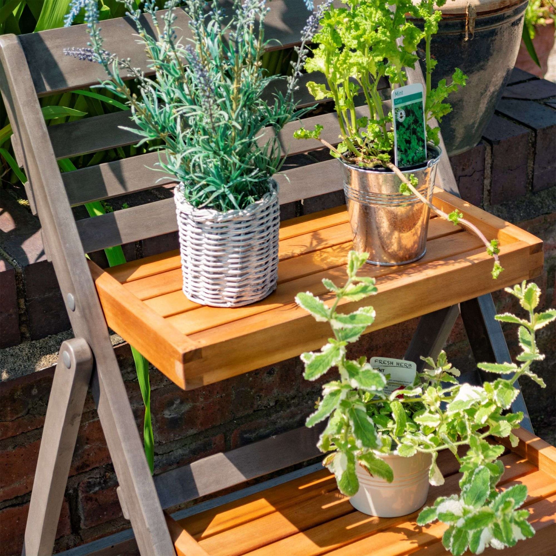 Rowlinson Alderley Plant Ladder - Small - Garden Shop Online