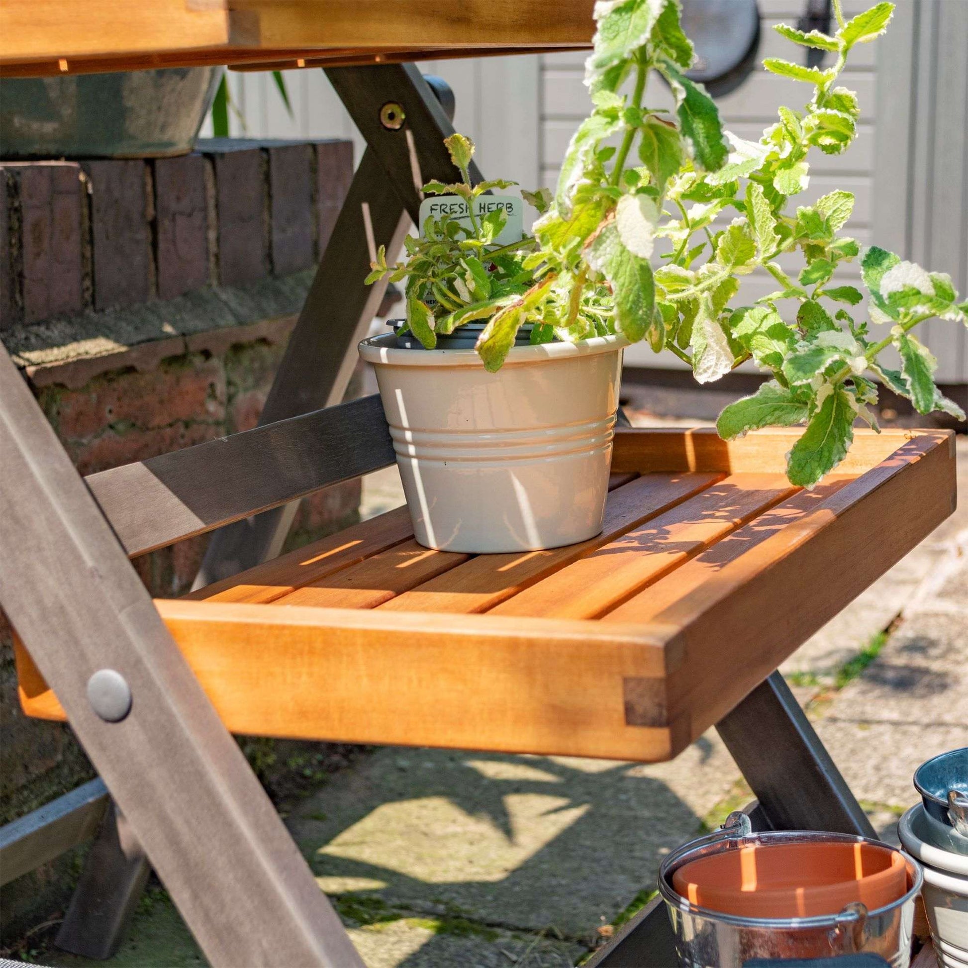 Rowlinson Alderley Plant Ladder - Small - Garden Shop Online