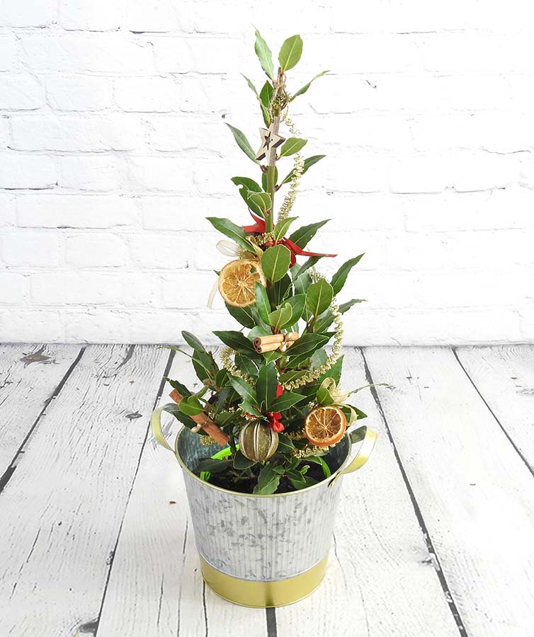 Christmas Bay - Image 1