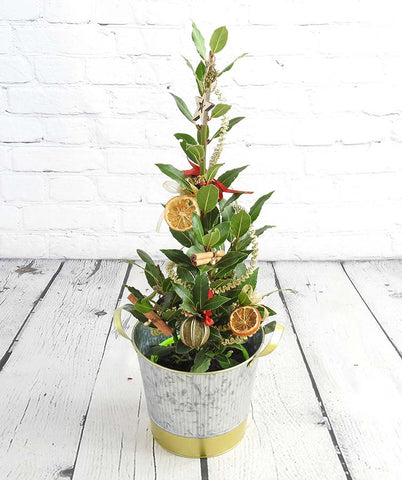 Christmas Bay - Image 1