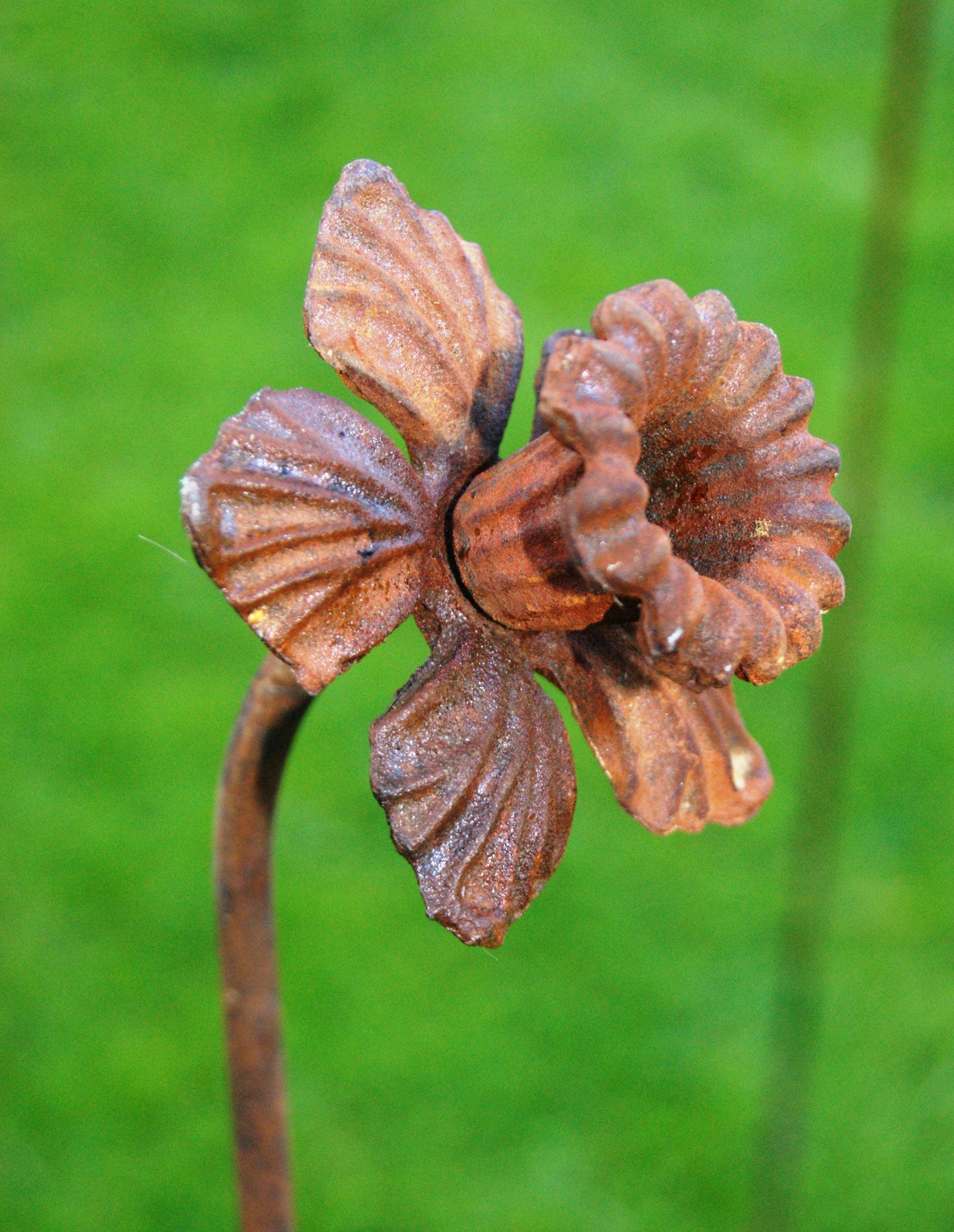 Daffodil Plant Pin Support 5ft - Garden Shop Online