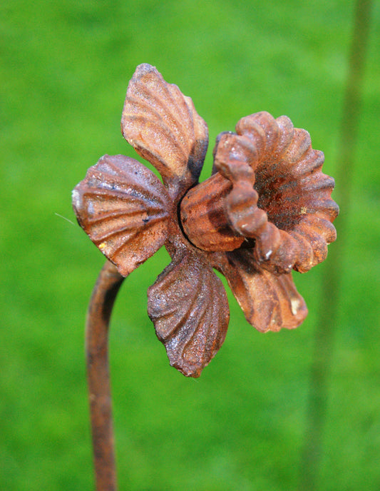 Daffodil Plant Pin Support 5ft - Garden Shop Online