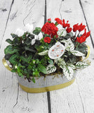 Festive Indoor Planter