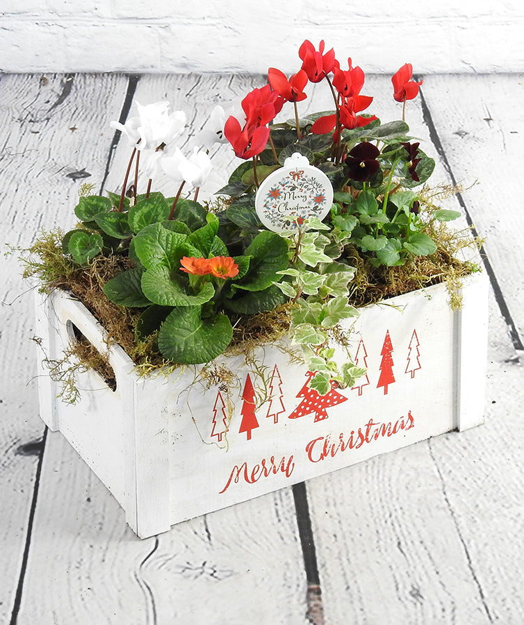 Merry Christmas Crate - Image 1