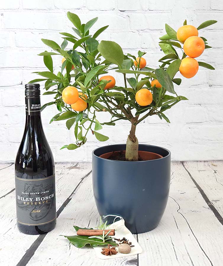 Mulled Wine Gift Set - Image 1