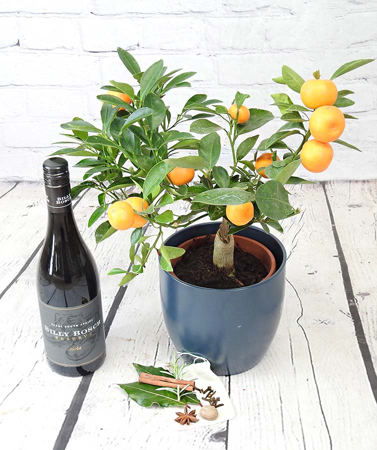 Mulled Wine Gift Set - Image 2
