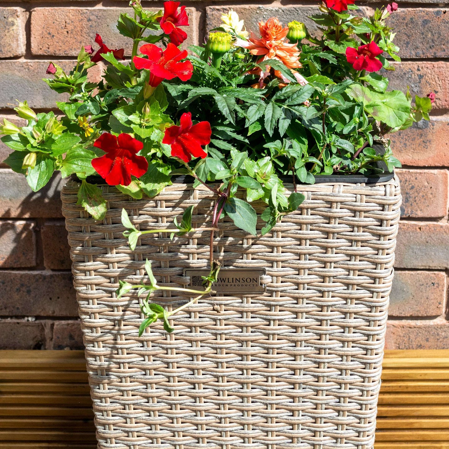 Square Natural Rattan Planter - Pack of 2 - Garden Shop Online