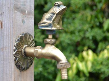 Frog Ornamental Brass Garden Tap - Garden Shop Online UK Online Garden Centre
 - 1