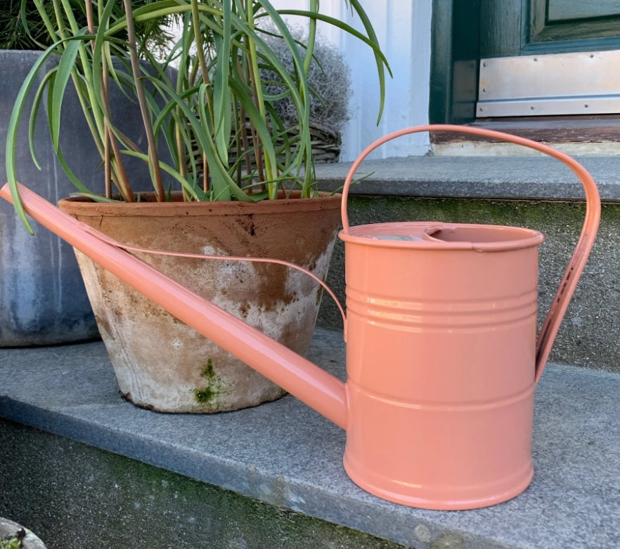 Rose Watering Can - 1.5 Litres