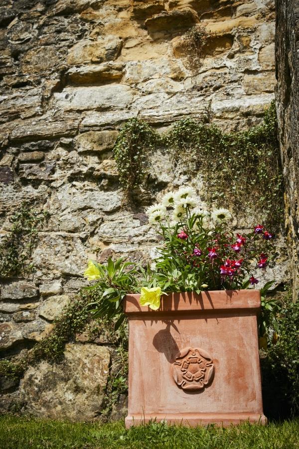 Heritage Rose Box Pot Planter