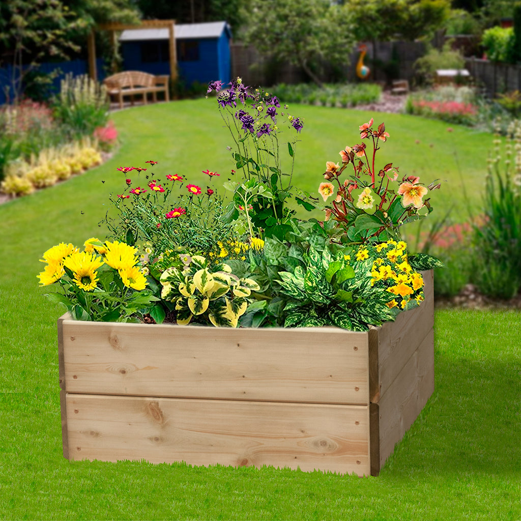 Square Raised Bed 30cm High, 60 x 60cm - Garden Shop Online