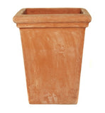 Terracotta Camelia Square Pot