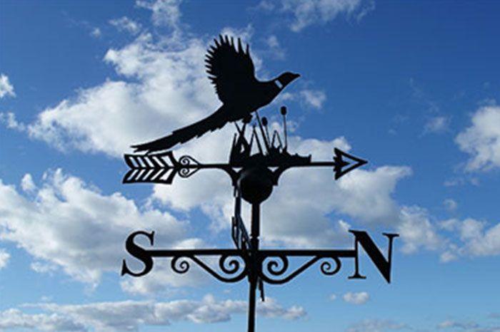 Pheasant Weathervane - Garden Shop Online